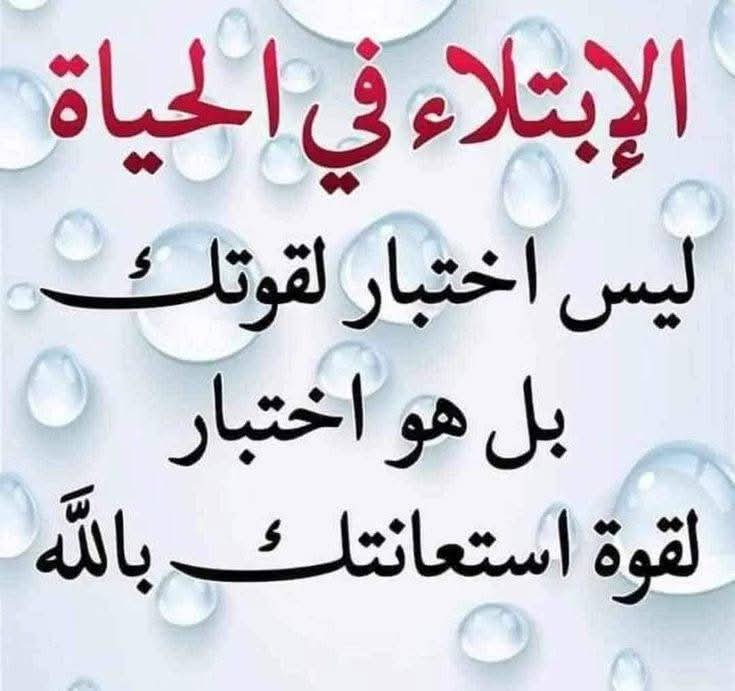 محمد مصطفي محمد حسن (@mrmrm2024) on Twitter photo 