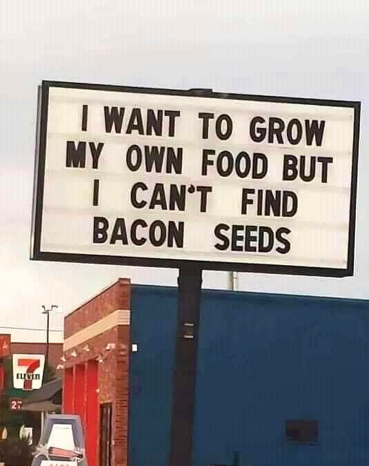 Good night good people of the interweb 
                  🤔🥓🐷