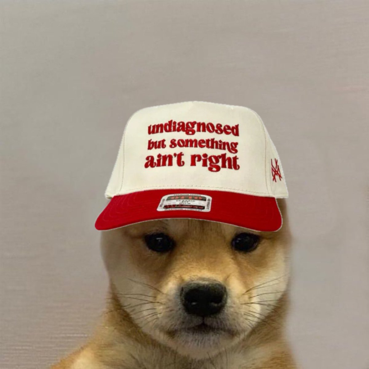 Day 226 of posting an original $wif meme until we hit $100