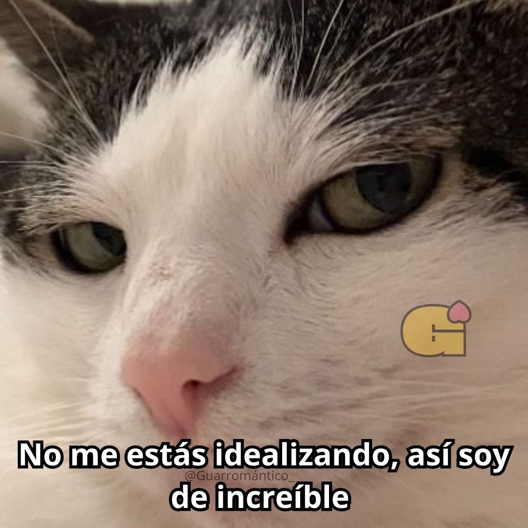 Increíble soy!