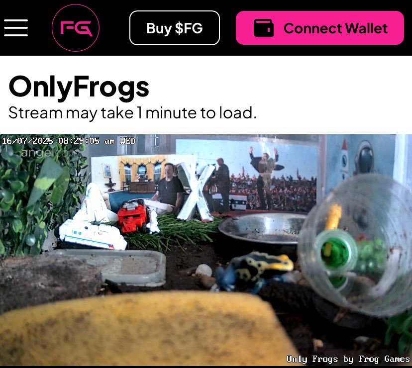 Elon feeding time. 🪰 
Live on OnlyFrogs