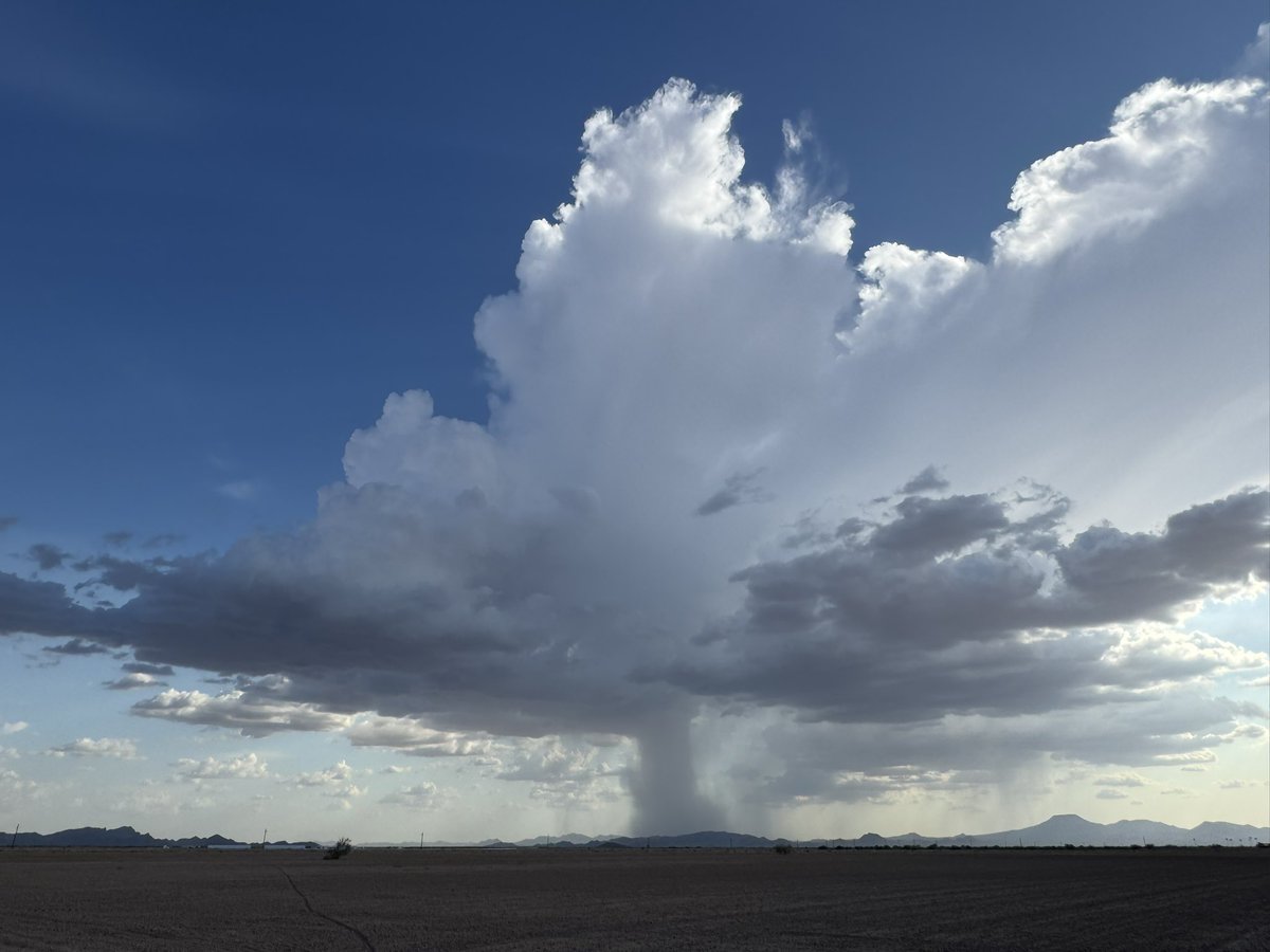 MikeOlbinski's tweet image. Definition of a microburst happening south of Stanfield #azwx