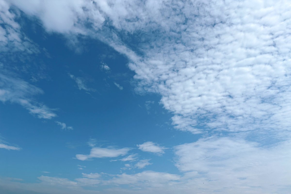 msjs_support's tweet photo. おはようございます🌞
今朝の多賀城は26℃の曇り☁️
本日は #駅弁記念日🍱
駅弁というと主ツイ担はチキン弁当が思い出されますね😋🐓
子供の頃から旅行のお供としてお世話になってます!
それでは、本日もよろしくお願いいたします。
#企業公式が毎朝地元の天気を言い合う #msjs https://t.co/sBBwr3Qp6R