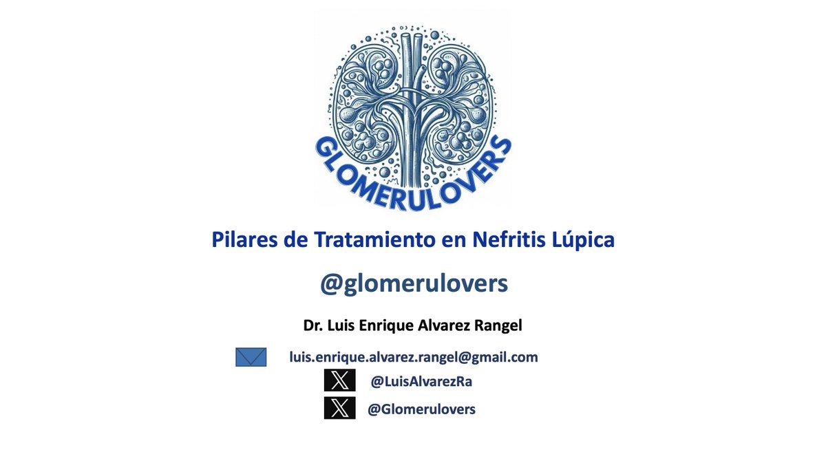 (1) Glomerulovers los escucha, por ello y a petición de algunos de ustedes les presentaremos el Hilo 19 “Pilares de Tratamiento en Nefritis Lúpica”