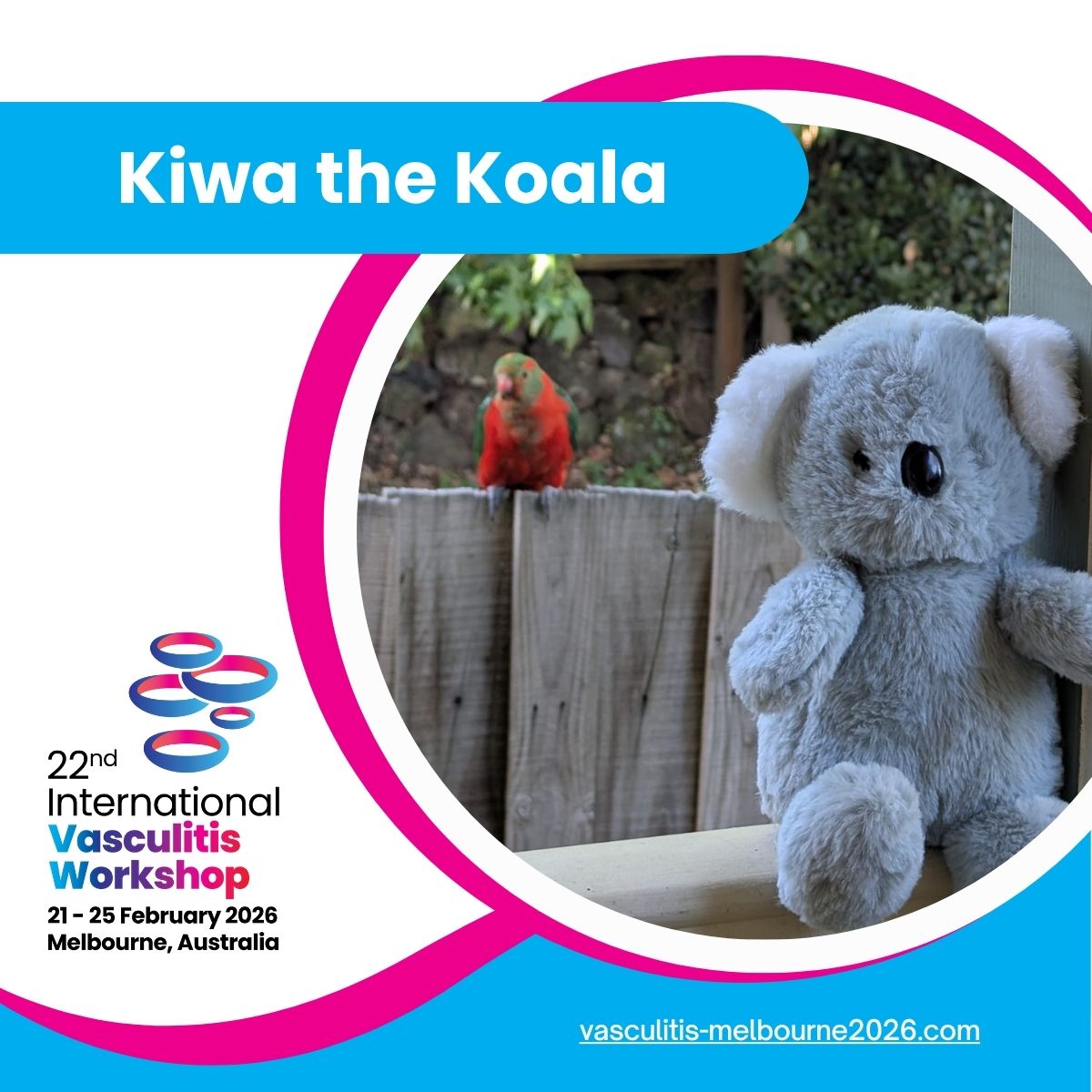 ANZ Vasculitis Society, '26 Vasculitis Wkshop host tweet media