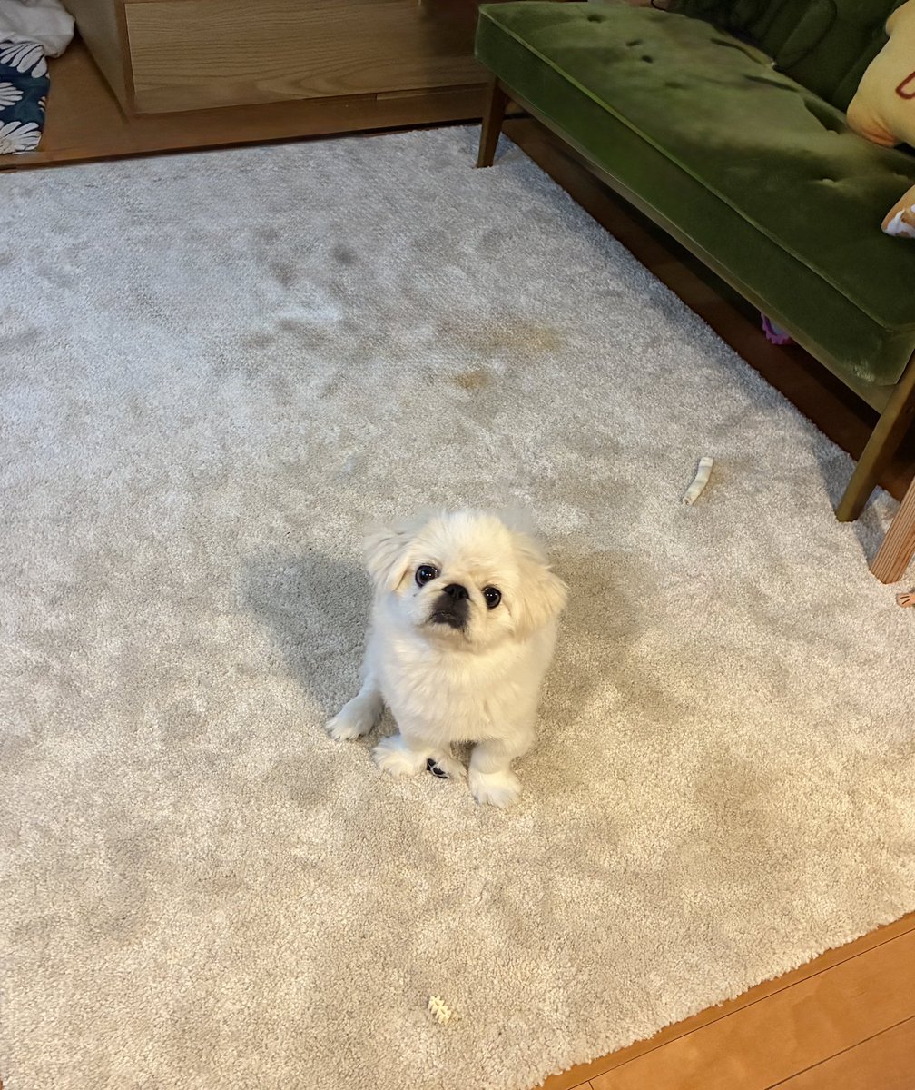 good_bye's tweet image. ちんまりんこﾁｬﾏ