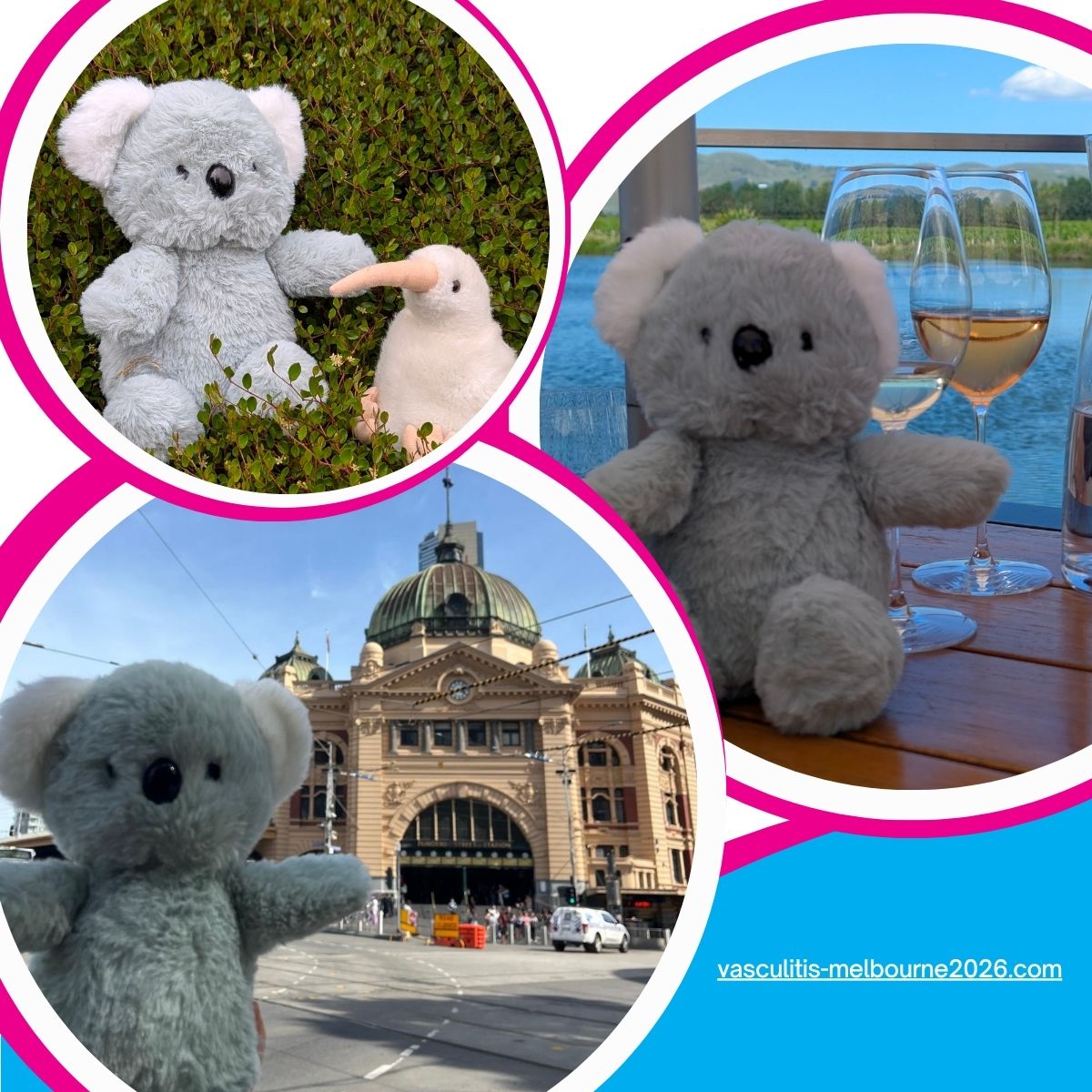 Say g'day to Kiwa the Koala - our (unofficial but totally adorable) mascot! Subscribe to our e-newsletter to follow all the latest updates on #VasculitisMelbourne2026 and to follow Kiwa's adventures around Australia (and beyond)!
Visit vasculitis-melbourne2026.com to subscribe🐨