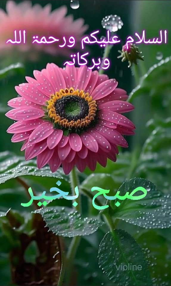 السلام علیکم ورحمتہ اللہ وبرکاتہ
🧡صبح بخیر🧡
#خاتم_النبیین_محمدﷺّ
دعا کی قبولیت کی ایک علامت یہ بھی ہےکہ وہ دعائیں آپکو بدلناشروع کردیں گےاگروہ دعائیں دعاؤں کےآنسو دل کوگھلارہی ہیں روناسیکھارہی ہیں
سجدےکروا رہی ہیں،گناہوں سےبچارہی ہیں۔تو یادرکھیں وہ اللّٰہ سےملارہی ہیں
#X_promo