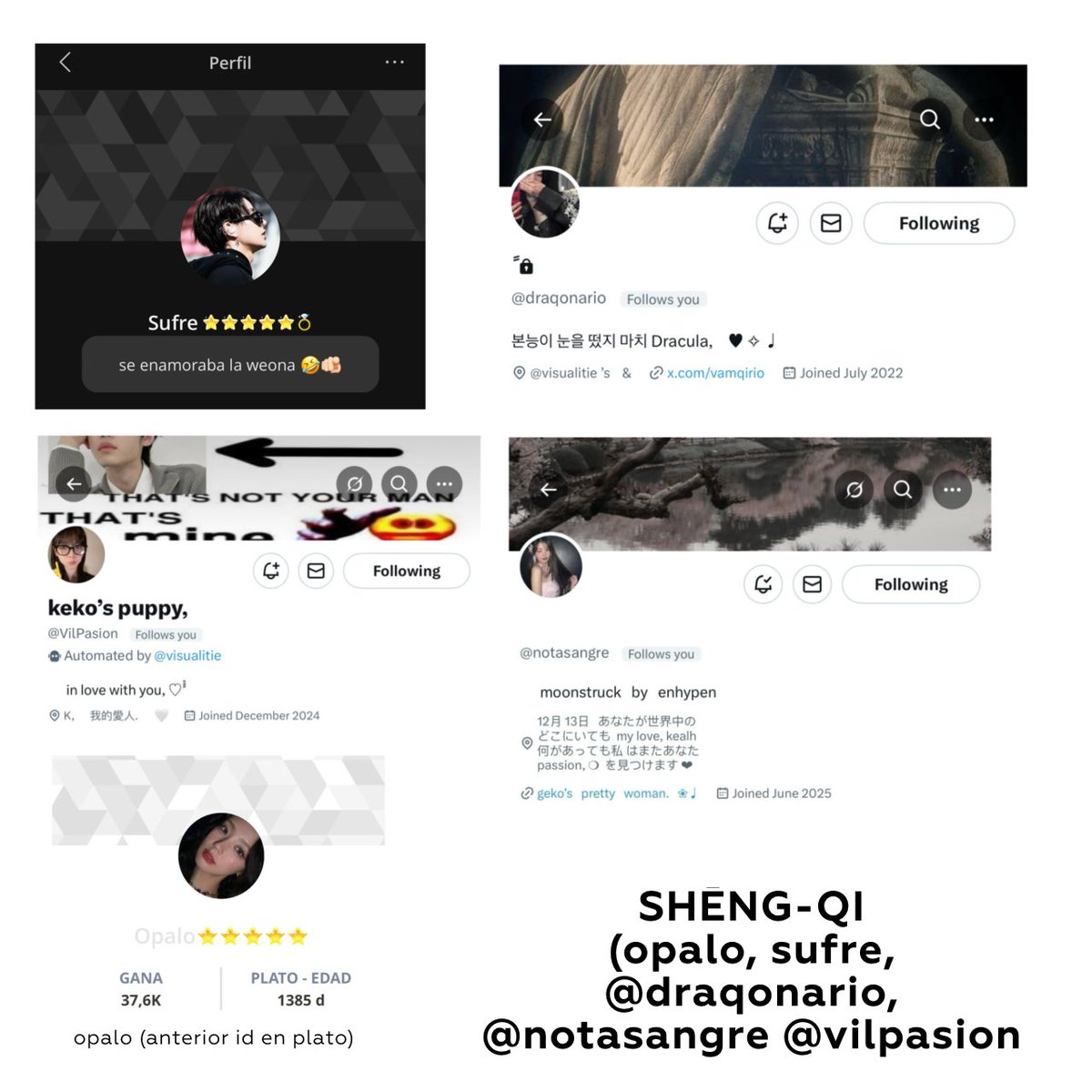 masaqe's tweet image. Abro hilo a Shēng-Qi @/notasangre, sufre (en plato), Kaezu @/unhojal (alveo en plato), Ginza/Dion (anteriormente castico en plato), que resultaron ser la misma persona en diferentes cuentas. A continuación se anexan fotos y vídeos.