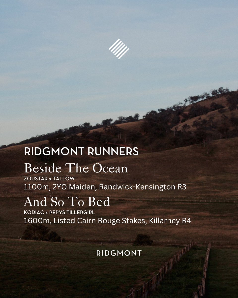 Ridgmont Runners | 16.07.25

Beside the Ocean (Zoustar x Tallow)
1100m, 2YO Maiden, Randwick-Kensington R3

And So to Bed (Kodiac x Pepys Tillergirl)
1600m, Listed Cairn Rouge Stakes, Killarney R4

#ridgmont #sharedsuccess #ridgmontrunners