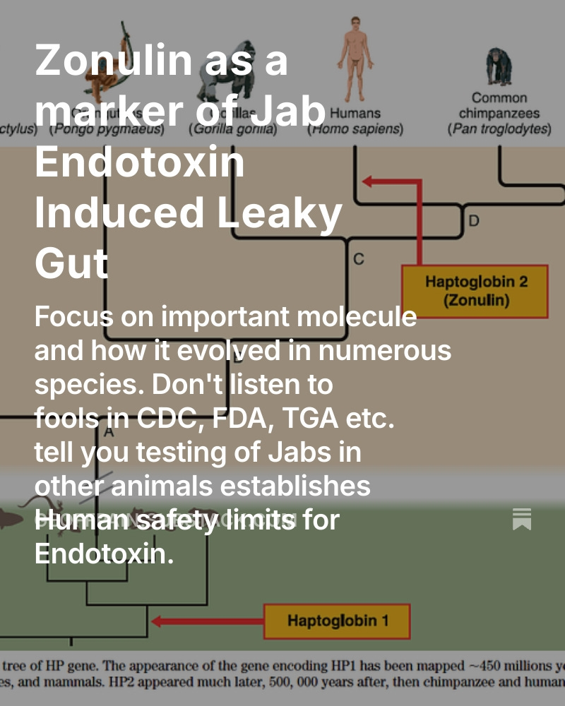 Geoffrey Norman Pain (@fluoridepoison) on Twitter photo <a href="/JohnBeaudoinSr/">John Beaudoin, Sr., The Real CdC, The Last Boomer</a> <a href="/DowdEdward/">Edward Dowd</a> <a href="/EthicalSkeptic/">Ethical Skeptic ☀</a> <a href="/EmeraldRobinson/">Emerald Robinson ✝️</a> <a href="/unhealthytruth/">Erin Elizabeth Health Nut News🥜</a> <a href="/rgvrunner01/">Ernest Ramirez</a> <a href="/DrHenryEaly/">Dr Henry Ealy</a> <a href="/ExileIrish/">The irish-exile</a> <a href="/profnfenton/">Prof Norman Fenton</a> <a href="/VigilantFox/">The Vigilant Fox 🦊</a> <a href="/KenPaxtonTX/">Attorney General Ken Paxton</a> <a href="/GirardotMarc/">Marc Girardot</a> <a href="/goddeketal/">Dr. Simon Goddek</a> <a href="/AGPamBondi/">Attorney General Pamela Bondi</a> <a href="/PlanetarySeed/">GoogleFu</a> <a href="/RepMTG/">Rep. Marjorie Taylor Greene🇺🇸</a> <a href="/TheAmericanGrl/">The American Girl</a> <a href="/kksheld/">Kris Held,MD</a> <a href="/HouseLyndseyRN/">Lyndsey, RN 💜🐭</a> <a href="/damonmcclure3/">Aussie Nomad</a> <a href="/DKlemitz/">David Klemitz</a> <a href="/drmelissamccann/">DrMelissaMcCann</a> Mass General Brigham is heavily involved in Zonulin research and Jab Induced Leaky Gut.
Partners Boston Children’s Hospital and Harvard Medical School.
Just added reference to July 2025 paper funded by NIH and Alba Therapeutics
geoffpain.substack.com/p/zonulin-as-a… <a href="/JohnBeaudoinSr/">John Beaudoin, Sr., The Real CdC, The Last Boomer</a> <a href="/DowdEdward/">Edward Dowd</a> <a href="/EthicalSkeptic/">Ethical Skeptic ☀</a> <a href="/EmeraldRobinson/">Emerald Robinson ✝️</a> <a href="/unhealthytruth/">Erin Elizabeth Health Nut News🥜</a> <a href="/rgvrunner01/">Ernest Ramirez</a> <a href="/DrHenryEaly/">Dr Henry Ealy</a> <a href="/ExileIrish/">The irish-exile</a> <a href="/profnfenton/">Prof Norman Fenton</a> <a href="/VigilantFox/">The Vigilant Fox 🦊</a> <a href="/KenPaxtonTX/">Attorney General Ken Paxton</a> <a href="/GirardotMarc/">Marc Girardot</a> <a href="/goddeketal/">Dr. Simon Goddek</a> <a href="/AGPamBondi/">Attorney General Pamela Bondi</a> <a href="/PlanetarySeed/">GoogleFu</a> <a href="/RepMTG/">Rep. Marjorie Taylor Greene🇺🇸</a> <a href="/TheAmericanGrl/">The American Girl</a> <a href="/kksheld/">Kris Held,MD</a> <a href="/HouseLyndseyRN/">Lyndsey, RN 💜🐭</a> <a href="/damonmcclure3/">Aussie Nomad</a> <a href="/DKlemitz/">David Klemitz</a> <a href="/drmelissamccann/">DrMelissaMcCann</a> Mass General Brigham is heavily involved in Zonulin research and Jab Induced Leaky Gut.
Partners Boston Children’s Hospital and Harvard Medical School.
Just added reference to July 2025 paper funded by NIH and Alba Therapeutics
geoffpain.substack.com/p/zonulin-as-a…
