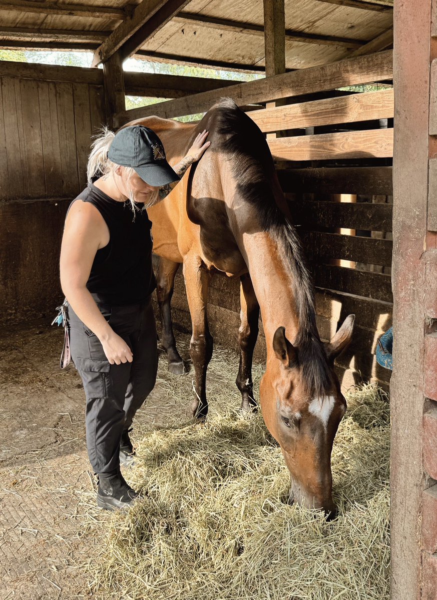 Beccalytics's tweet image. Rejection therapy turned into fulfilling a childhood dream. First day learning horse grooming and maintenance
Forever a horse girl ❤️🐴