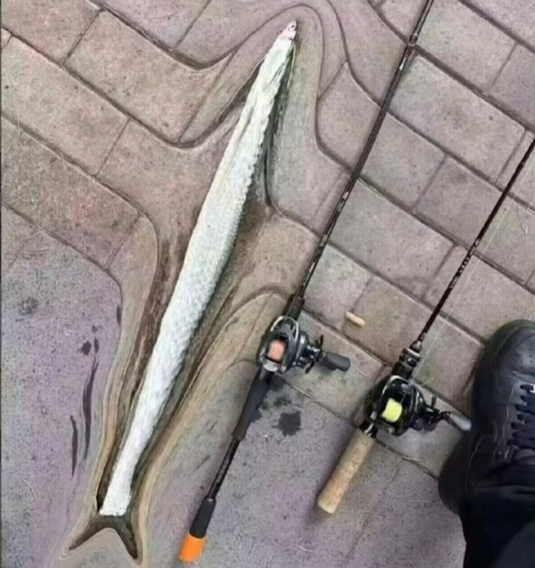 와 큰놈 낚았다