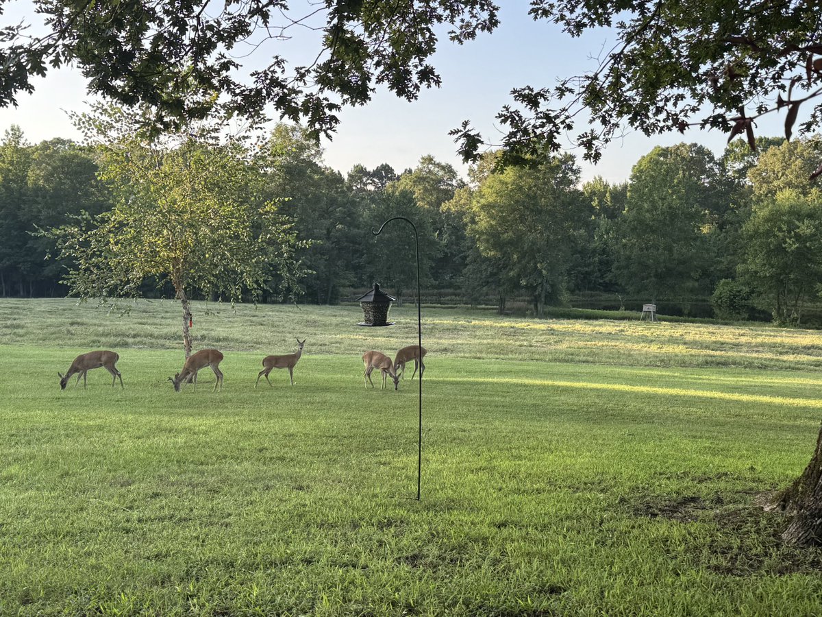 JonamaMyrick's tweet image. Blessed to celebrate my 61st at my new happy place!