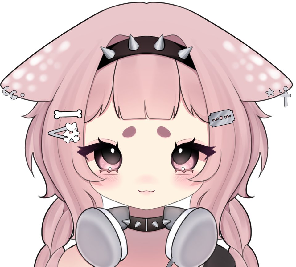 recent custom design cms