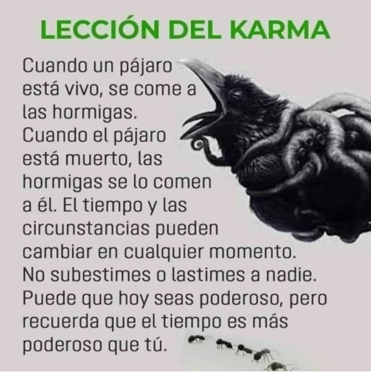 Guillermo Navarro (@navarroguillej) on Twitter photo 