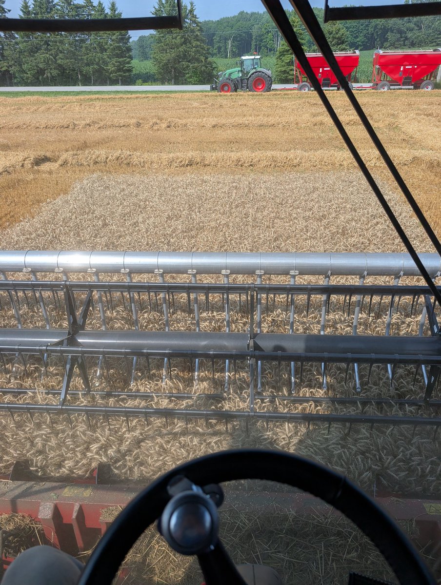 Josh Weber (@weberfarmsltd) on Twitter photo Day 2 of harvest. Wrapped up the first field and dialing in the new harvest command automation
Another <a href="/GreatLakesYEN/">Great Lakes Yield Enhancement Network</a> plot in the books Day 2 of harvest. Wrapped up the first field and dialing in the new harvest command automation
Another <a href="/GreatLakesYEN/">Great Lakes Yield Enhancement Network</a> plot in the books