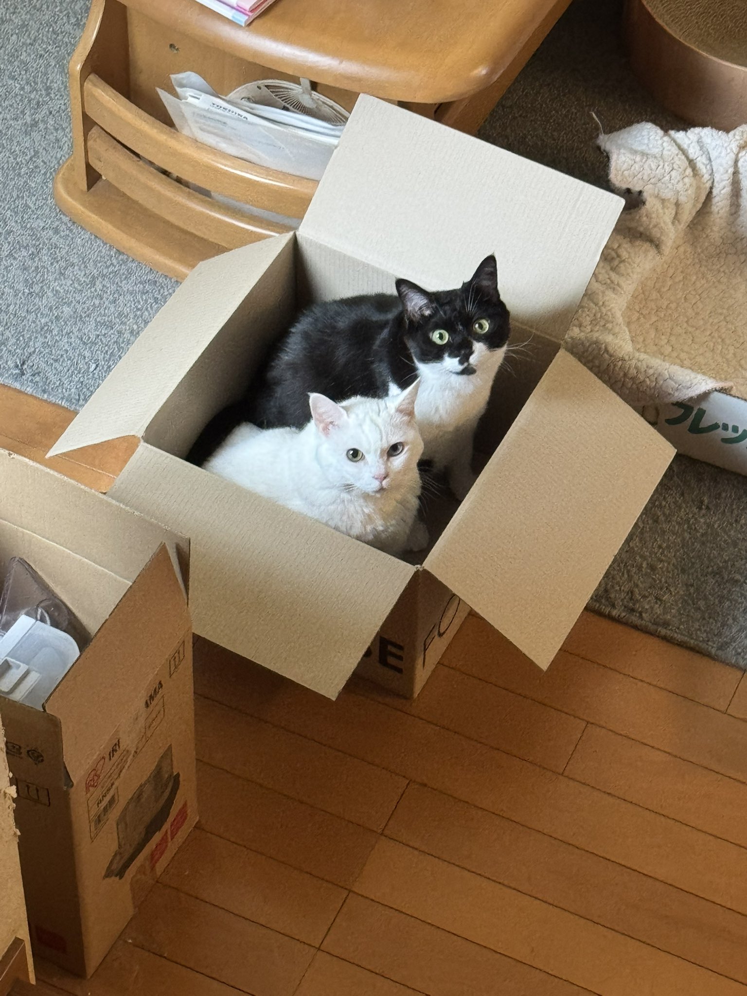 遺品整理　おまとめ　即購入OK 中央区 遺品整理（分譲マンション） | 東京足立区で遺品整理