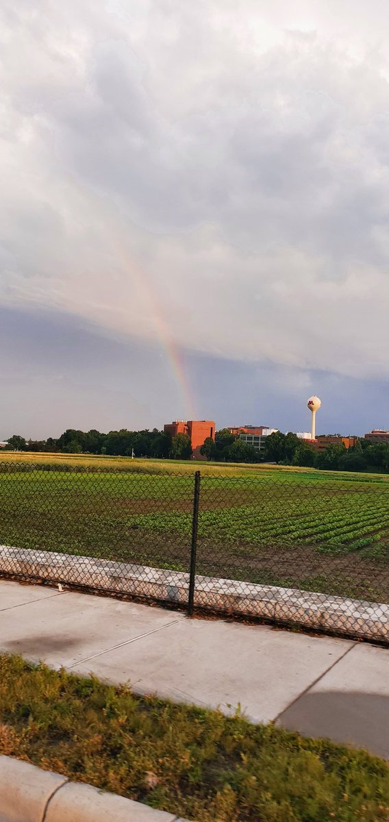 RadMothering's tweet image. Rainbow over St. Paul and the East Bank of the U.