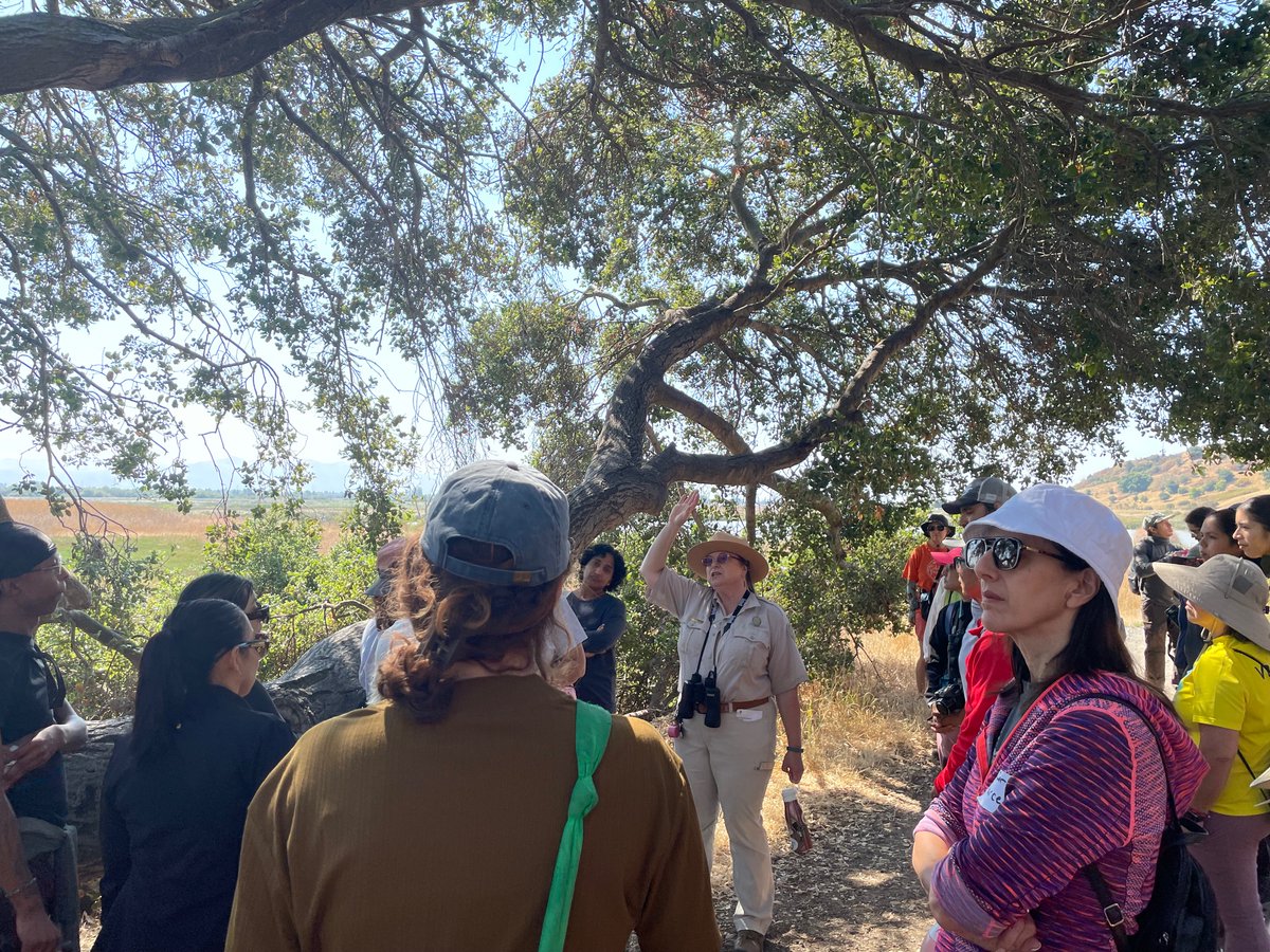 JesseArreguin's tweet image. The East Bay Regional Parks District @EBRPD recently held a walk and talk at the scenic Coyote Hills Regional Park. Visit the EBRPD events calendar to find a full range of activities to learn and explore parks throughout the region: ebparks.org/calendar