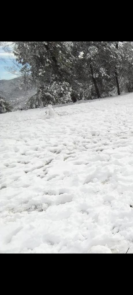 Muchachos digan frases.

 Está más frío que "_ _ _ _ _"