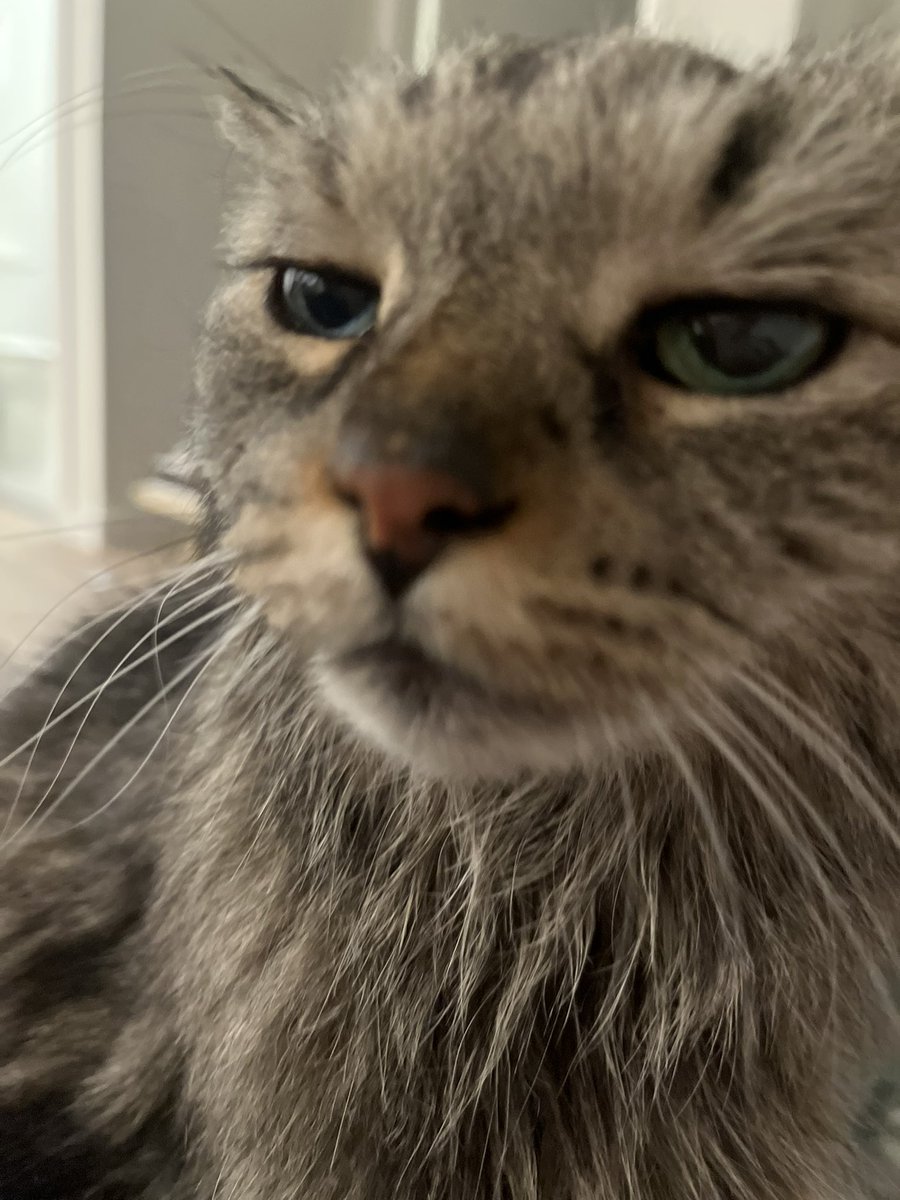 Who priv qrts my shit