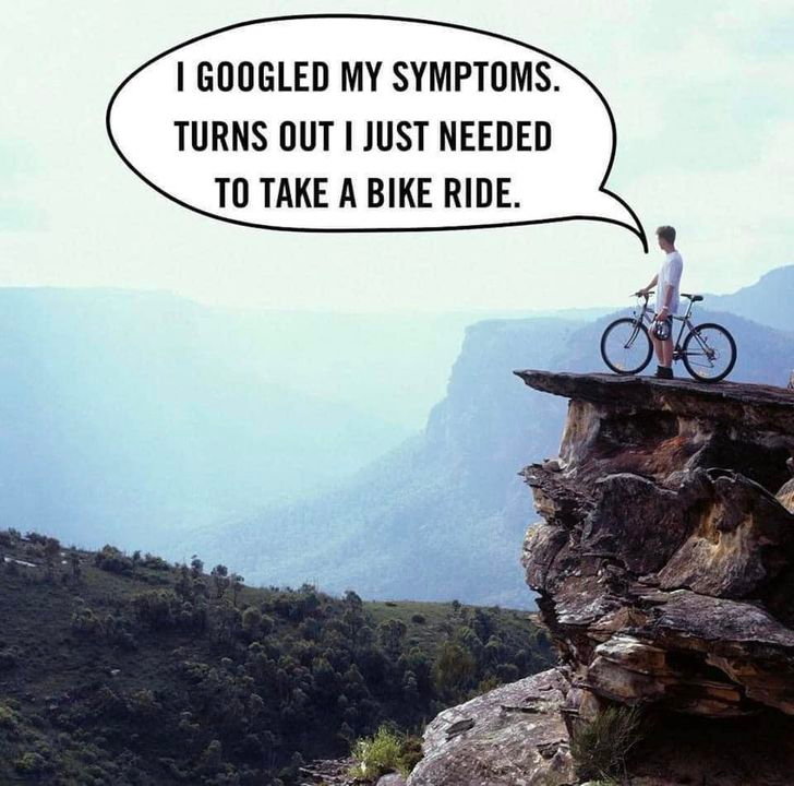 Discerning Cyclist tweet media