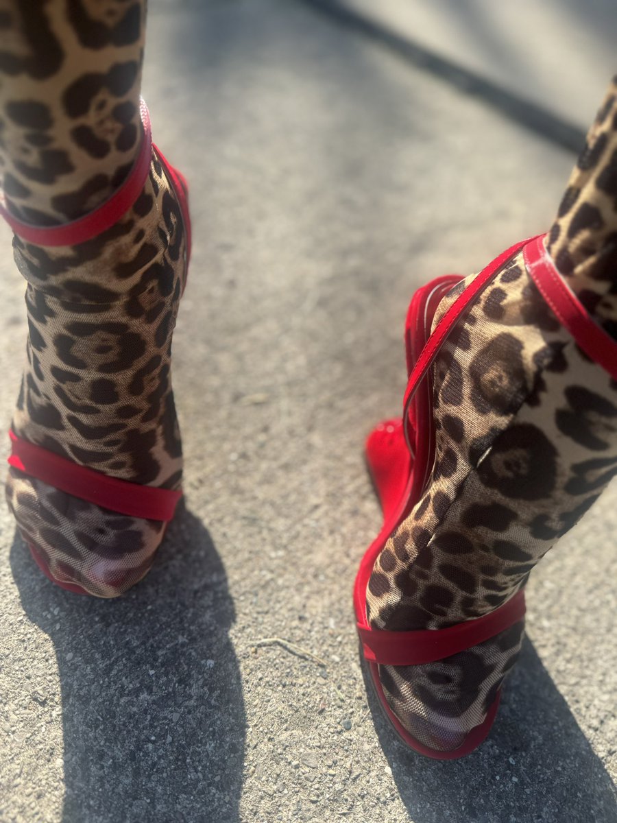 dmid___'s tweet image. 