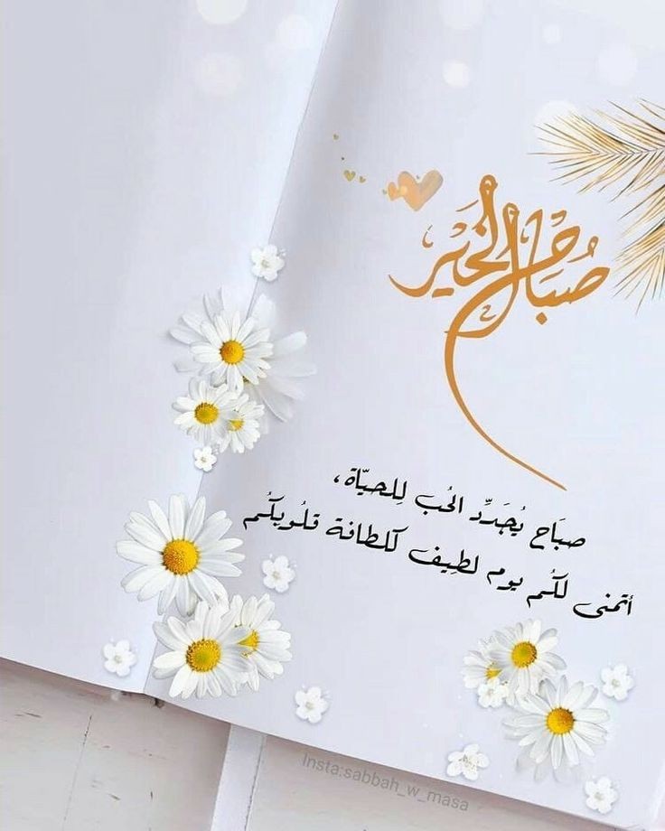 . 
اللهم اجعله صباحاً تجبر فيه
القلوب وتنفرج فيه الهموم 

ويستجاب فيه الدعاء وتيسر
فيه الأمور وتصلح فيه الأحوال

صبـاح الــورد 🌹🌹
