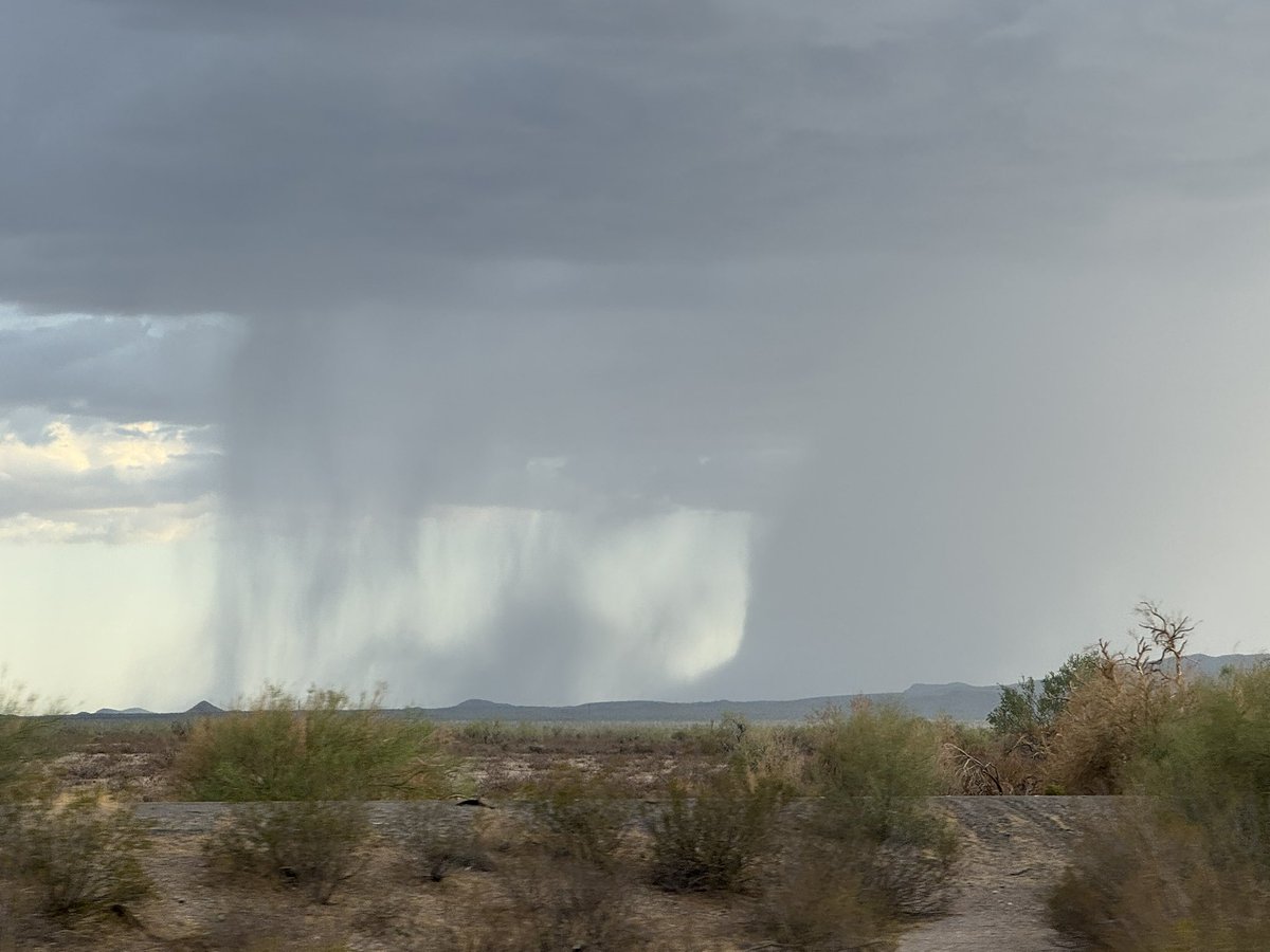 MikeOlbinski's tweet image. Big downburst south of I-8 and the 84 exit #azwx
