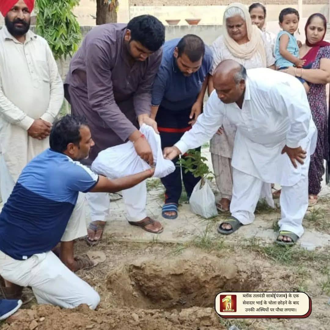 abhi_nagra252's tweet photo. A tree planted on ashes becomes a tribute that lives on.
Inspired by Saint MSG, the initiative of planting trees on ashes offers both respect for the departed and healing for the planet.
#अस्थियों_से_परोपकार https://t.co/obCeyEdP6r