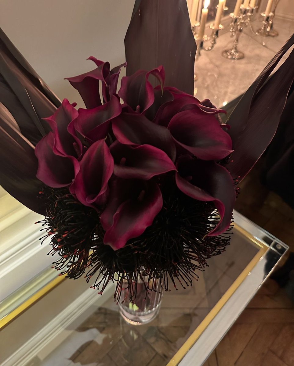 Burgundy Calla lilies