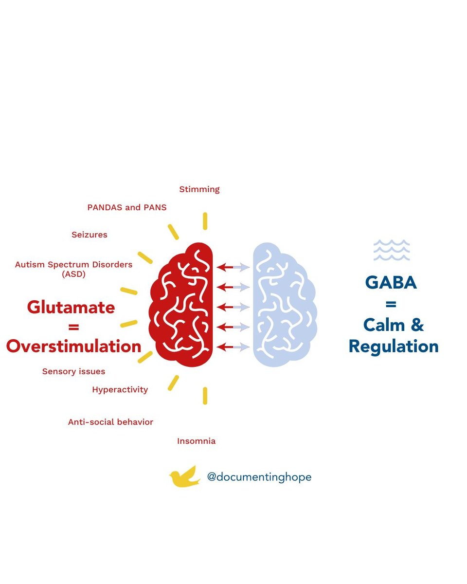DocumentingHope's tweet image. Excess glutamate from processed food may trigger excitotoxicity in kids with autism, PANS/PANDAS & more. Learn how one mom-biochemist used a low-glutamate diet to help her daughter recover. It’s science-backed + practical. Read: documentinghope.com/low-glutamate-… #documentinghope