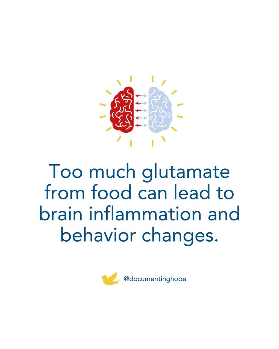 DocumentingHope's tweet image. Excess glutamate from processed food may trigger excitotoxicity in kids with autism, PANS/PANDAS & more. Learn how one mom-biochemist used a low-glutamate diet to help her daughter recover. It’s science-backed + practical. Read: documentinghope.com/low-glutamate-… #documentinghope