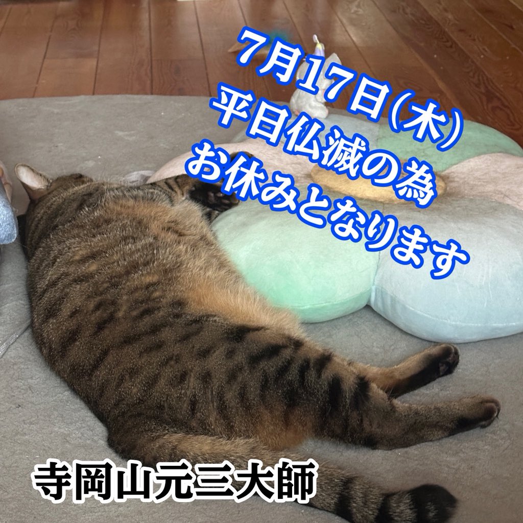 お休みのお知らせ✨