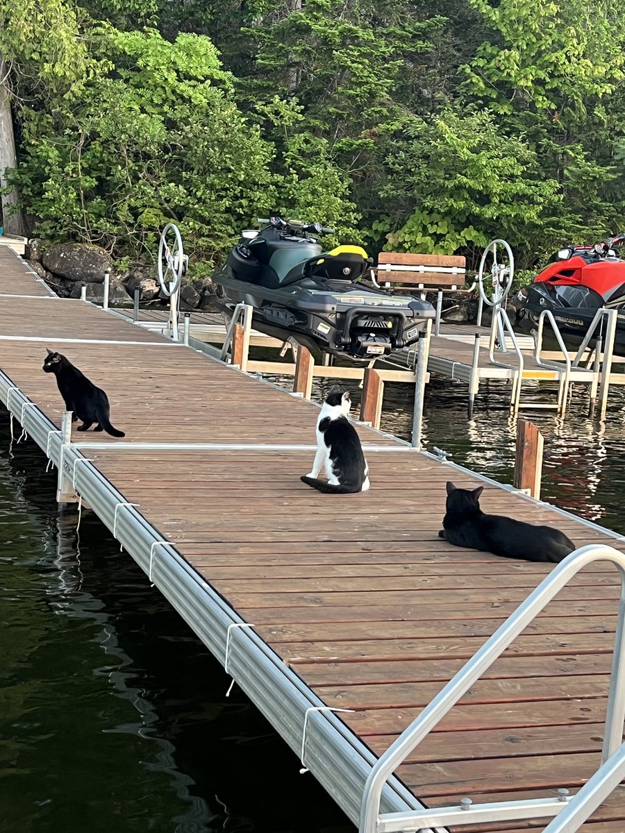 Mike Melio tweet media