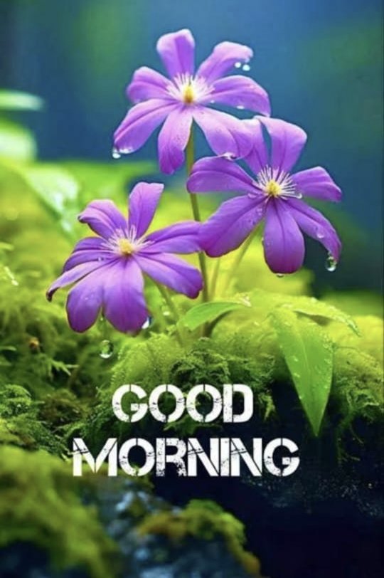 Sasi (@sasi82362795) on Twitter photo <a href="/Hermoyliana/">Ermi HP๐๐ฑ</a> Good morning dear ๐๐๐โค๏ธโค๏ธโค๏ธ๐ฅฐ๐ฅฐ๐ฅฐ๐๐๐ <a href="/Hermoyliana/">Ermi HP๐๐ฑ</a> Good morning dear ๐๐๐โค๏ธโค๏ธโค๏ธ๐ฅฐ๐ฅฐ๐ฅฐ๐๐๐