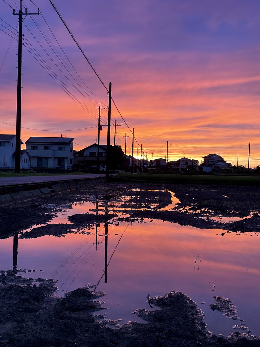 ちびくろ🐈‍⬛💫💧🌈🍊ξ (@chibikurosambo7) / Posts / X