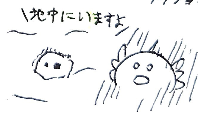 うぱさん #イラスト #日常