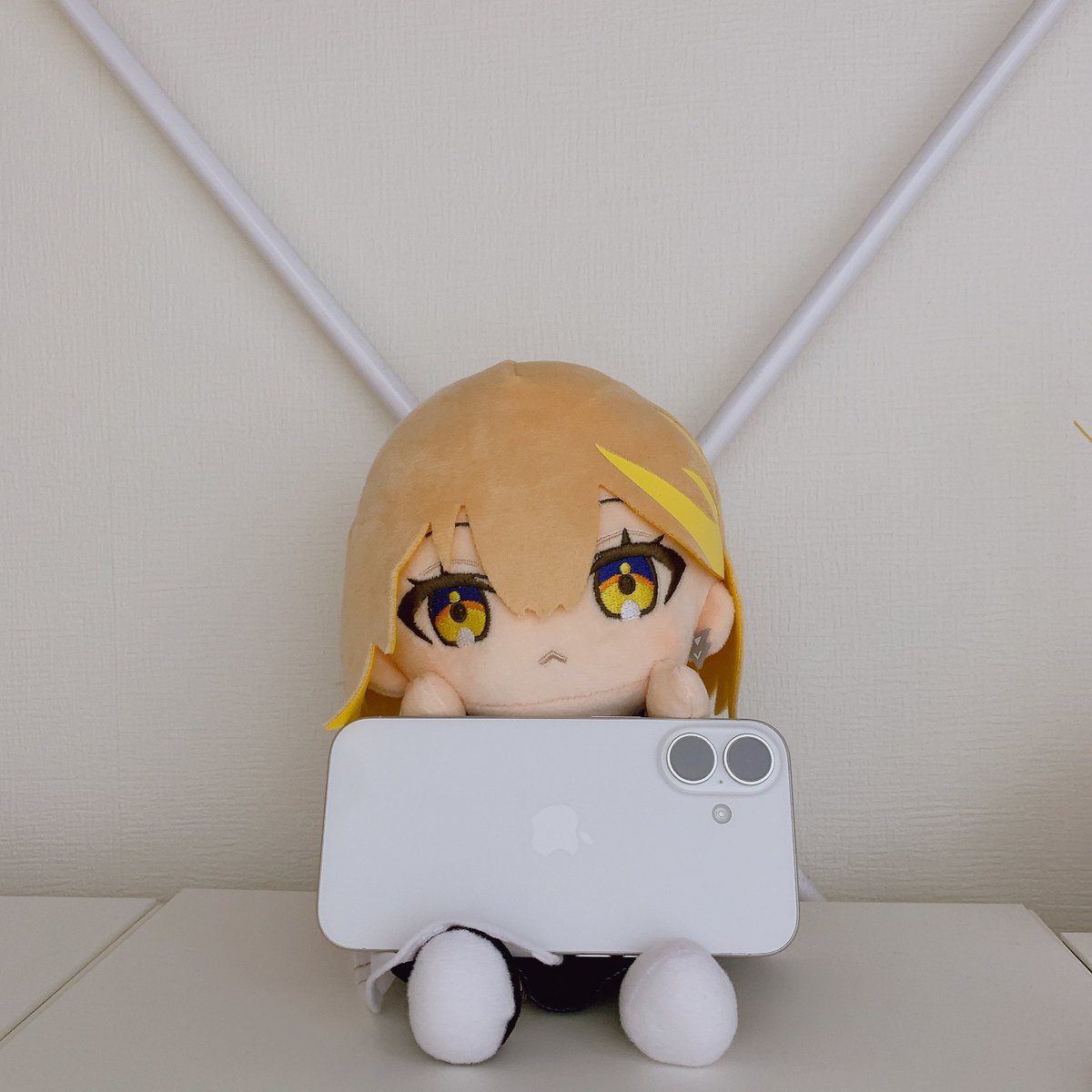 たむぬいちゃん、まさかそれは…