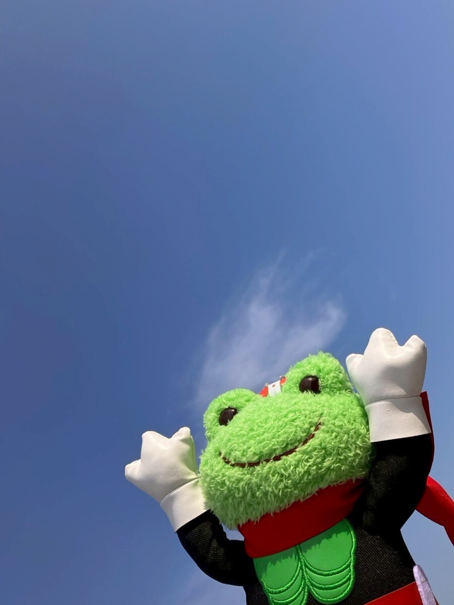 カエルのピクルス　仮面ライダー　コラボ ポージングぬいぐるみ かえるのピクルス pickles home