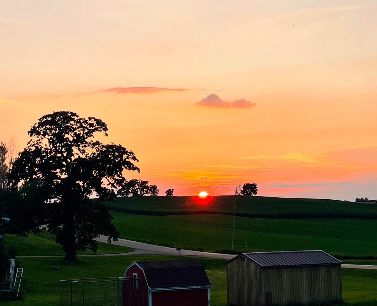 johndeeredr's tweet image. View from the barn door…..