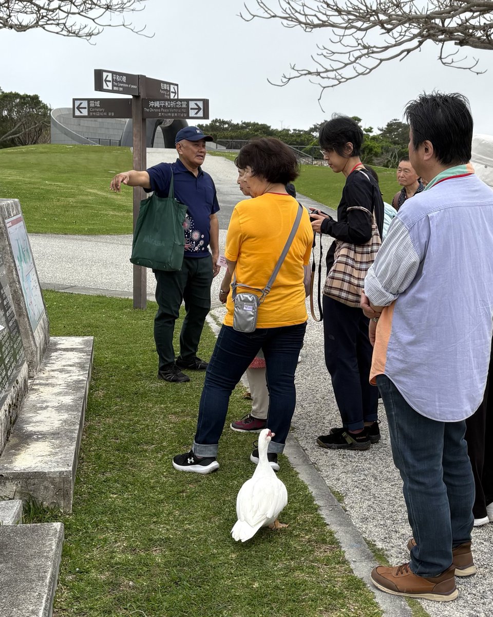 Image for the Tweet beginning: 3月のピースアクションinオキナワ
平和祈念公園ではアヒルちゃんも一緒にお勉強？📖

平和学習しながら、平和な気持ちになりました💗

みなさんの平和だなぁと思ったエピソード、
「#わたしの平和宣言」を付けて
シェアしてください✨

#わたしの平和宣言 #ピースアクション
#平和活動 #生協 #コープ 