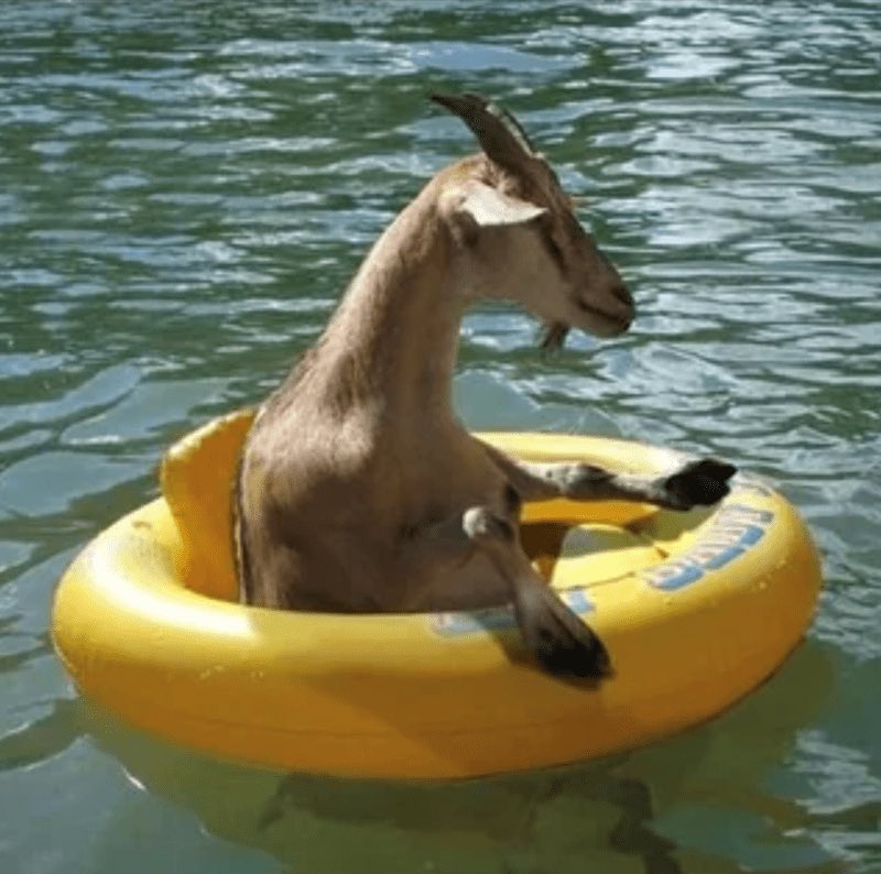 AgathaChocolats's tweet image. In six words or fewer, write a story about this photo.
#sixwordstory #WritingCommunity