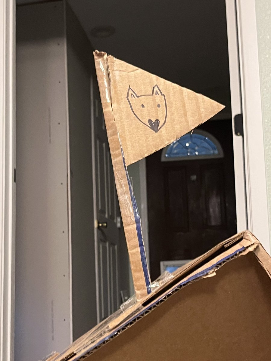 PupperNelson's tweet image. Best birthday present ever: @Chewy box fort 📦
