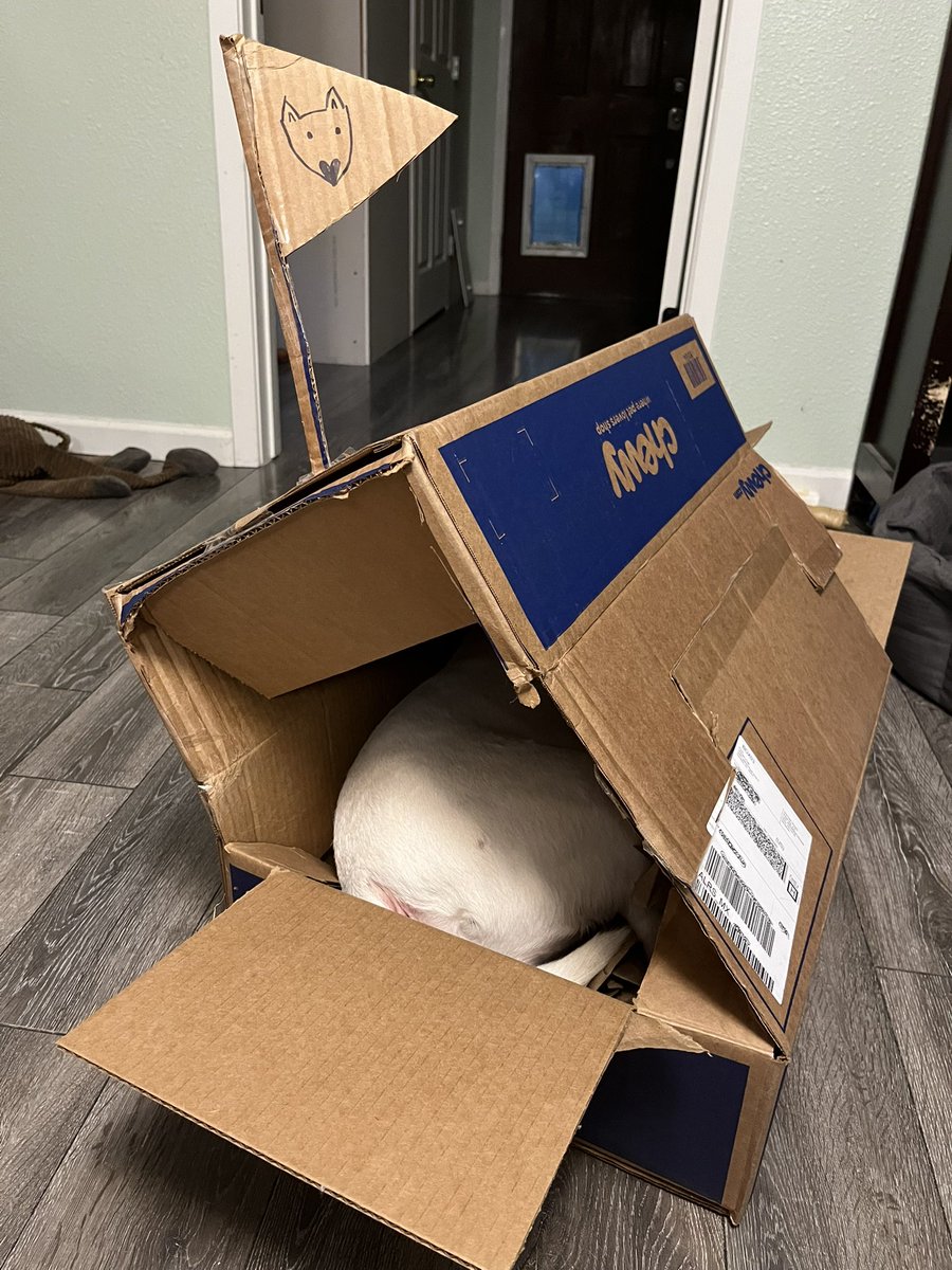 PupperNelson's tweet image. Best birthday present ever: @Chewy box fort 📦