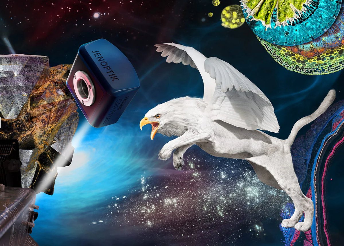 ScitechPtyLtd's tweet image. Do you need a new microscopy camera?

Trade in your old camera for a new @Jenoptik_Group Gryphax camera* and get a 20% discount. *certain model only

⏩ Fluorescence
⏩ Brightfield
⏩ DIC
⏩ Darkfield
⏩ Polarization
🇩🇪 German made
👋 24mth warranty

#microscopecamera #microscopy