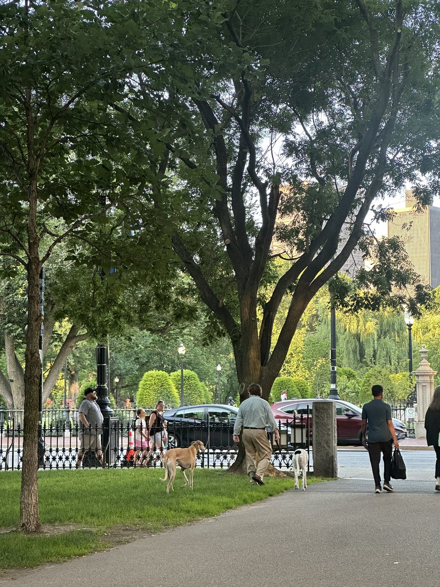 오늘 퇴근하고 걷는데 진짜 예뻤다. 똑같은 길을 여행으로 왔을 때와 퇴근하고 가는거랑 느낌이 다르다. 계절의 변화를 마음놓고 즐길 수 있어서 너무 좋음. 퇴근하고 공원에서 3시간 누워있다 집에 가는 중.