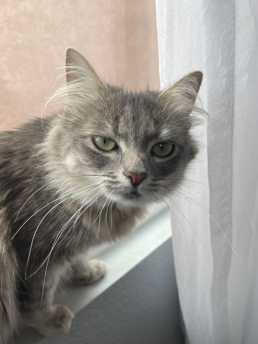 いつも怒っているように見えるw