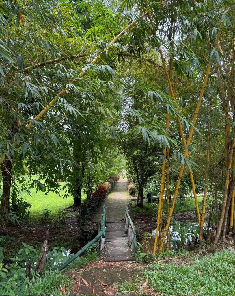 **النجاح **
 ليس إسقاط الآخرين بل فرصة للتقدم معأ فالنجاح يتسع للجميع  والوصول إلى القمة يستوعب الكل ،،  فقط تمنى للآخرين ما تتمناه لنفسك وسوف يكون النجاح والفوز للجميع بإذن الله تعالى ،،

💐صباح الخير💐